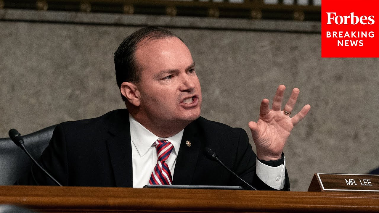 'A Recipe For Disaster': Mike Lee Derides Enforcement Authority Overlap Between DOJ And FTC