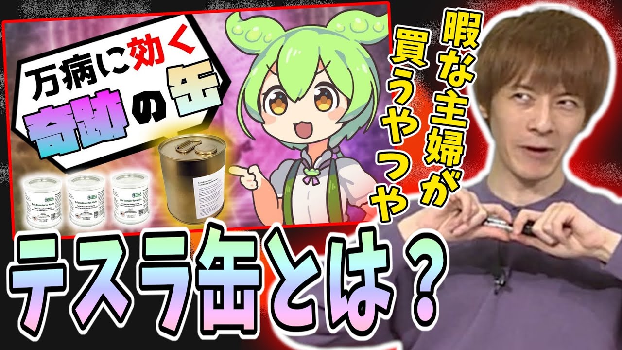 「ずんだもんと学ぶテスラ缶」を見るおえちゃん【2023/04/25】