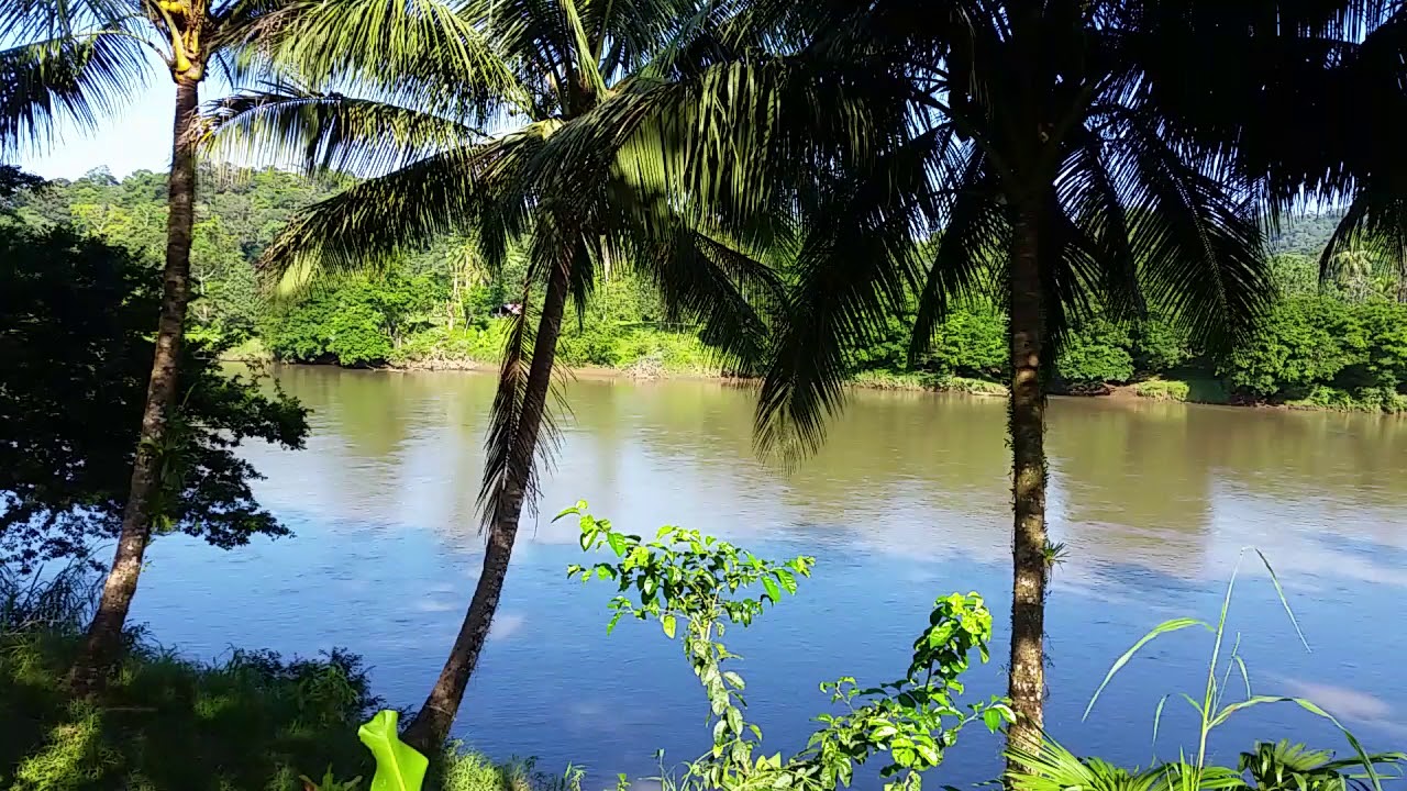 Rio San Carlos en Boca Tapada de Pital