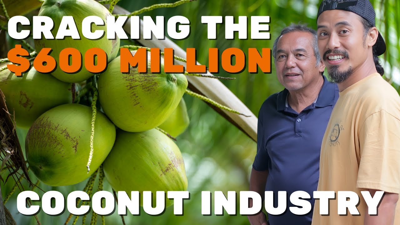Hitting Coconut Gold: The Untapped Treasure Ready to Explode!