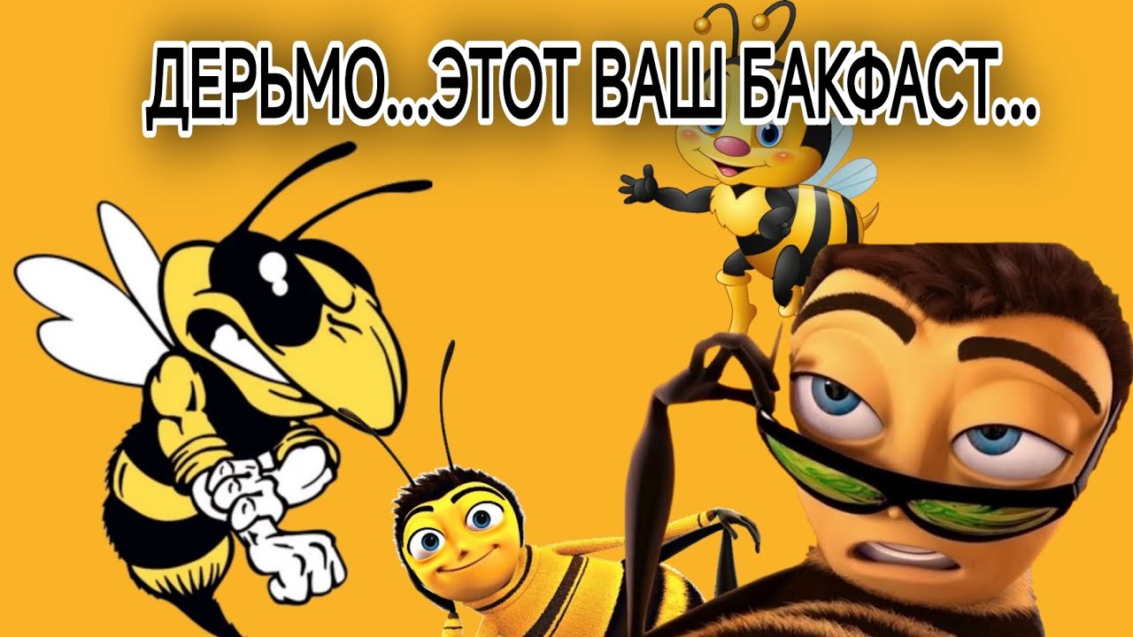 БАКФАСТ! Отличная порода! Тонкости и нюансы!
