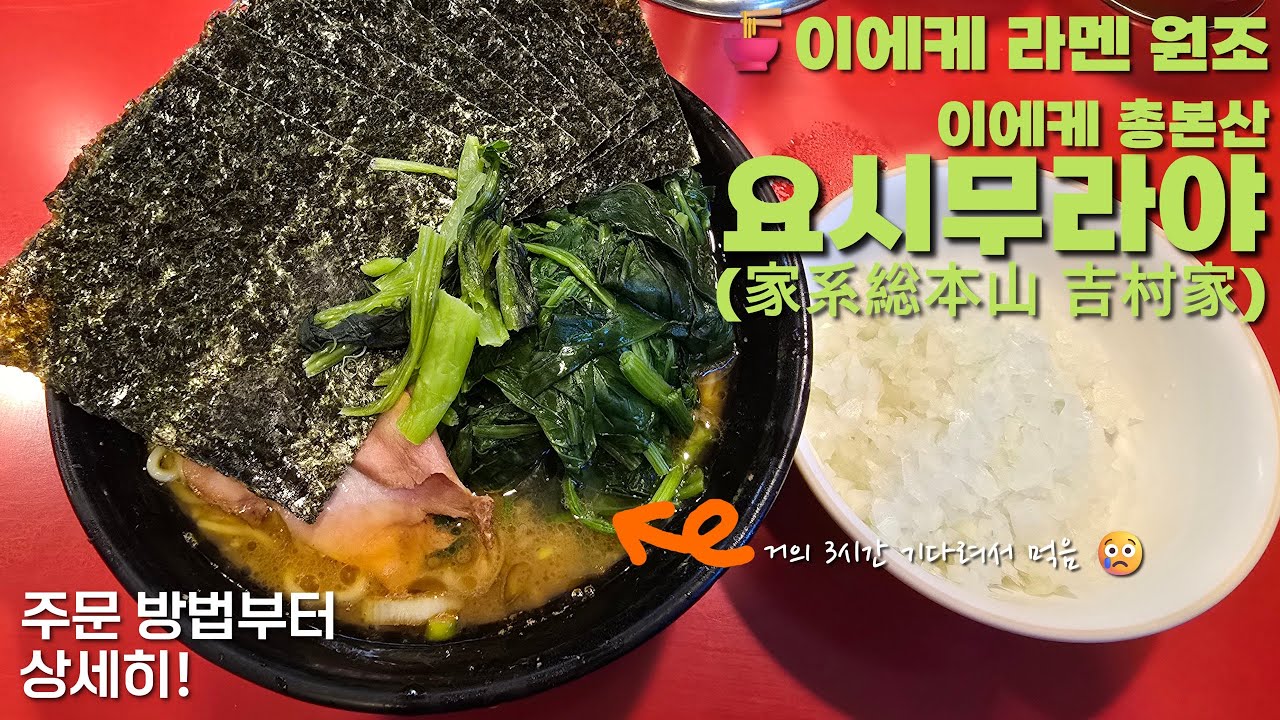 [일본 요코하마] 🍜이에케 라멘 원조 - 요시무라야 (家系総本山 吉村家)