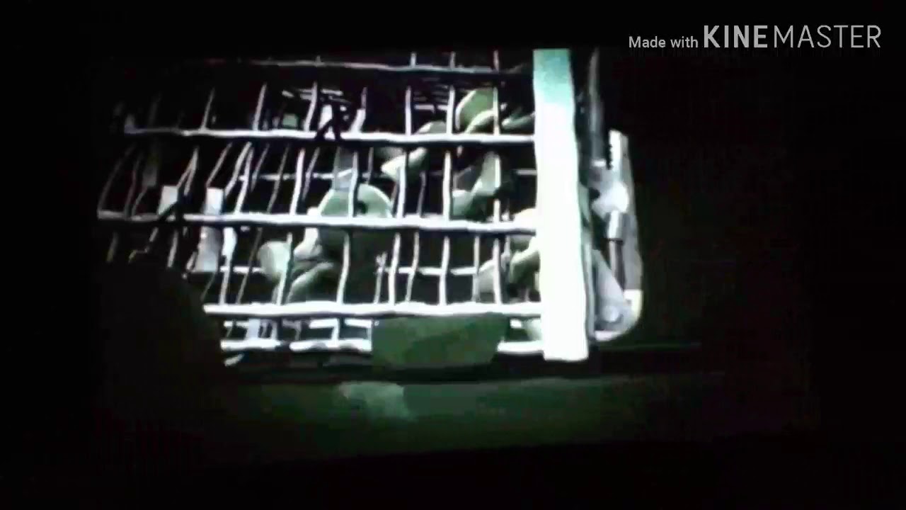 TMNT 2012 (Alone Rat and Cubs) The Story of the Turtles (Part48)