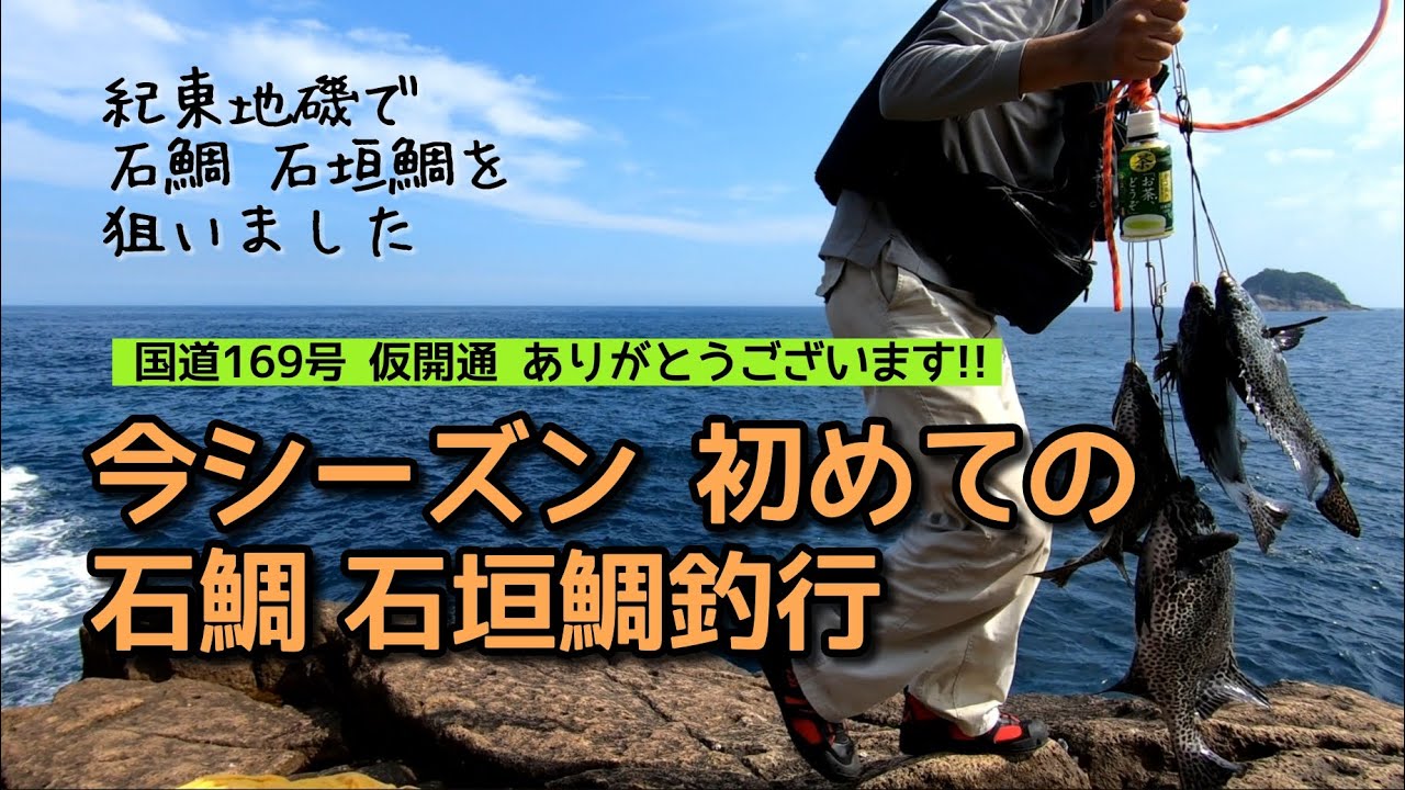 三重県熊野へ石鯛釣りに行ってきました。2024年7月14日 （小潮）今シーズンの底物初釣りです。#石鯛  #石鯛釣り #イシダイ #磯釣 #fishing