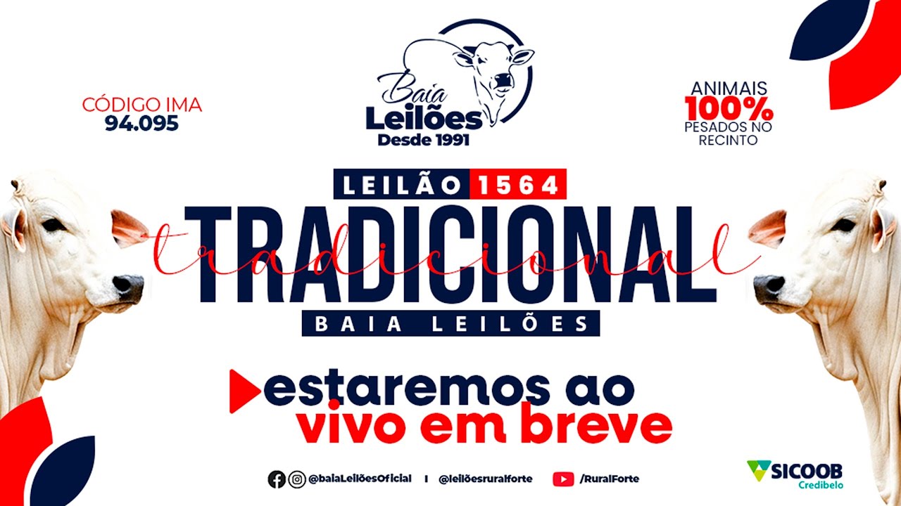 1.564° LEILÃO VIRTUAL DA BAIA LEILÕES, CAMPO BELO - MG, DIA 29/01/26