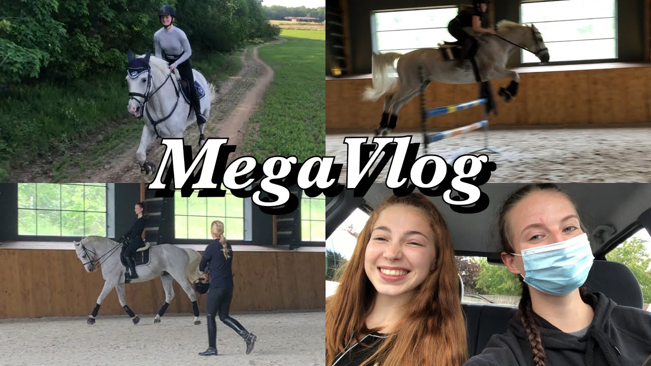 MEGAVLOG // Můj týden u koní