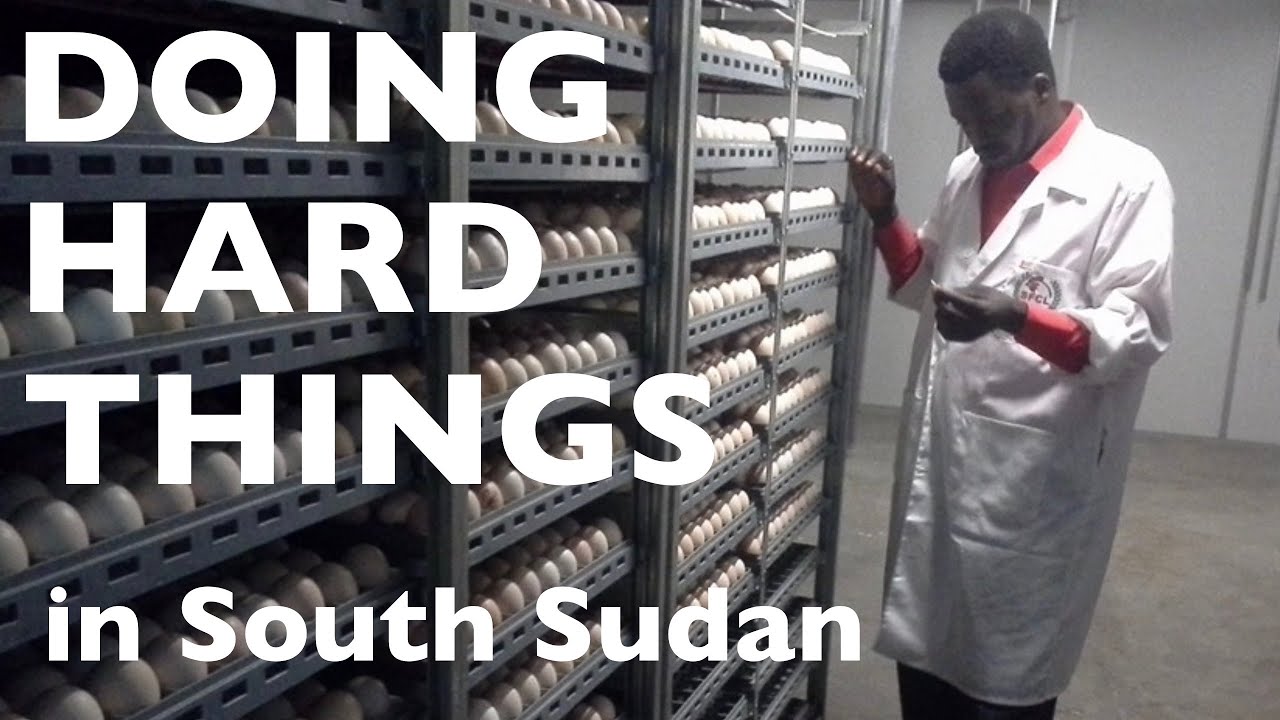 Doing HARD THINGS | Returnee Invests in 5 Million Chicks Capacity Hatchery