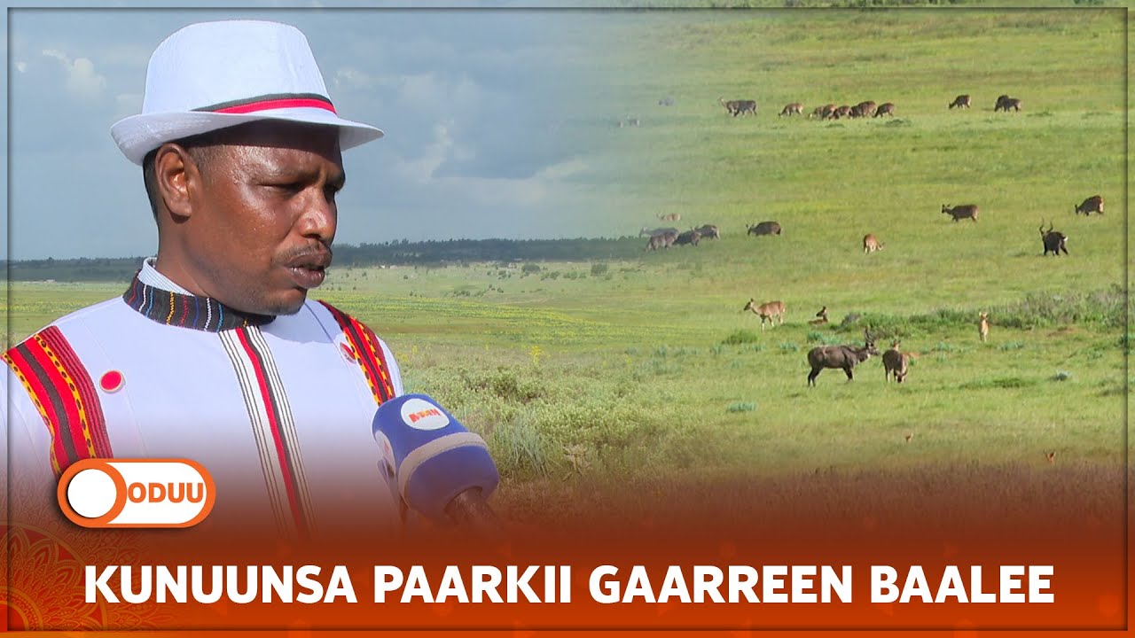 KUNUUNSA PAARKII GAARREEN BAALEE