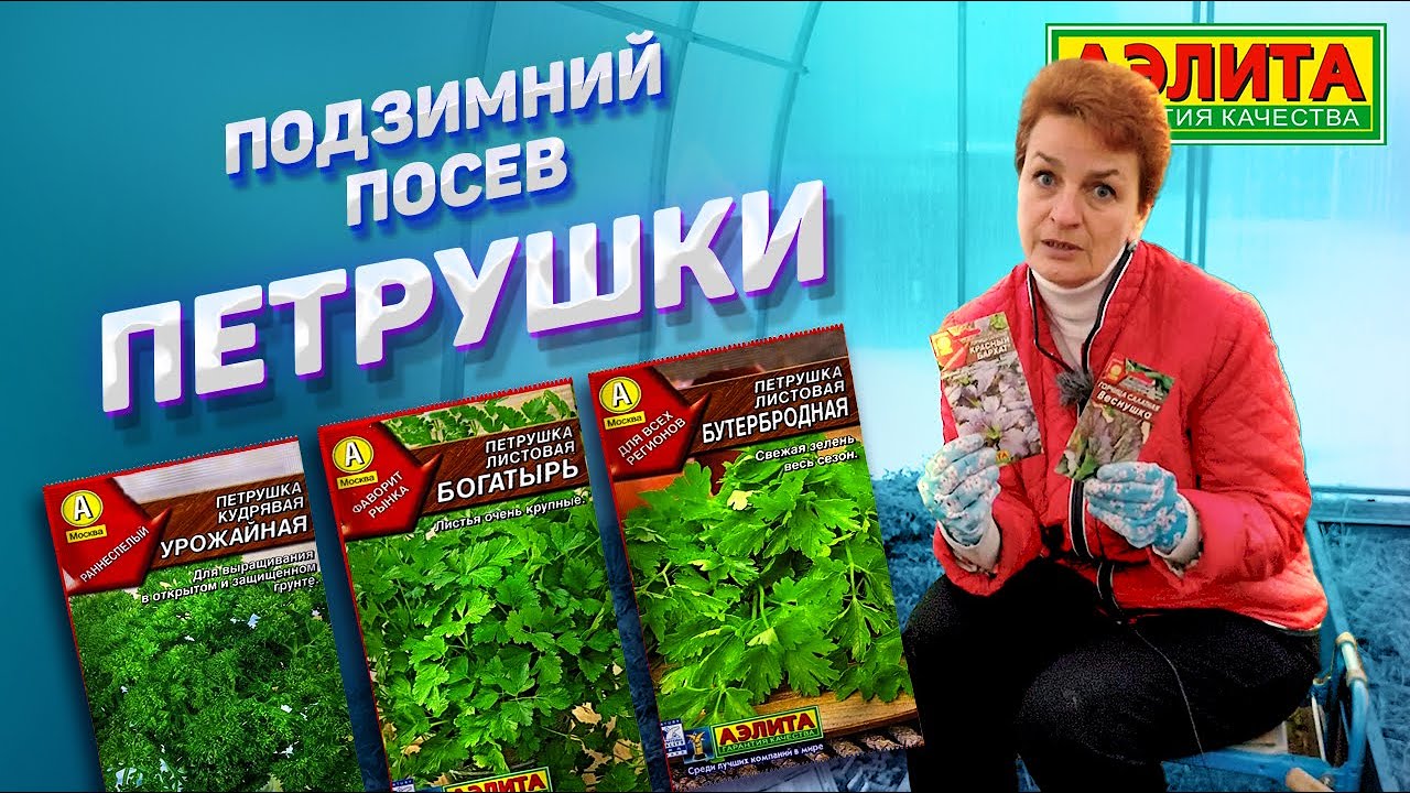 Подзимний Посев: Петрушка, Укроп, Кориандр, Свекла и Морковь