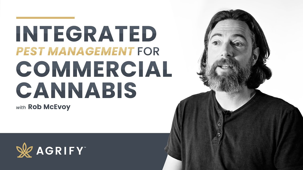 Integrated Pest Management For Commercial Cannabis