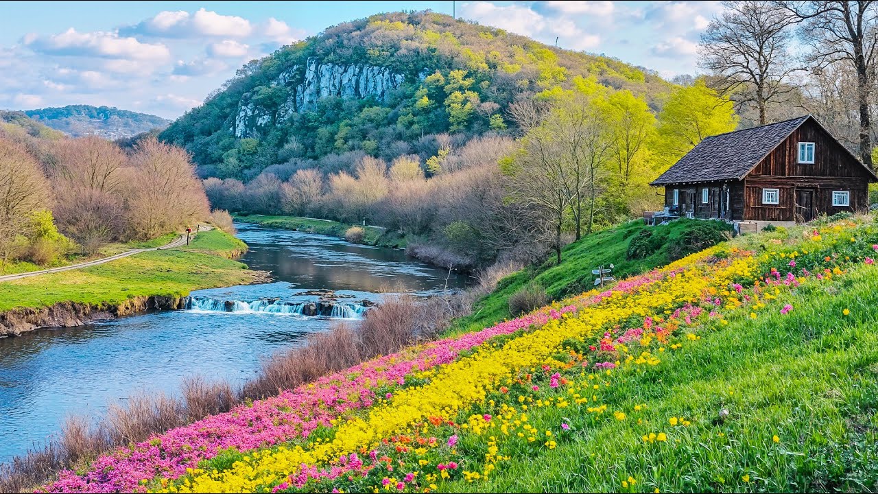 Расслабляющая и целебная музыка 🌿 Нежные звуки природы помогают успокоить ум