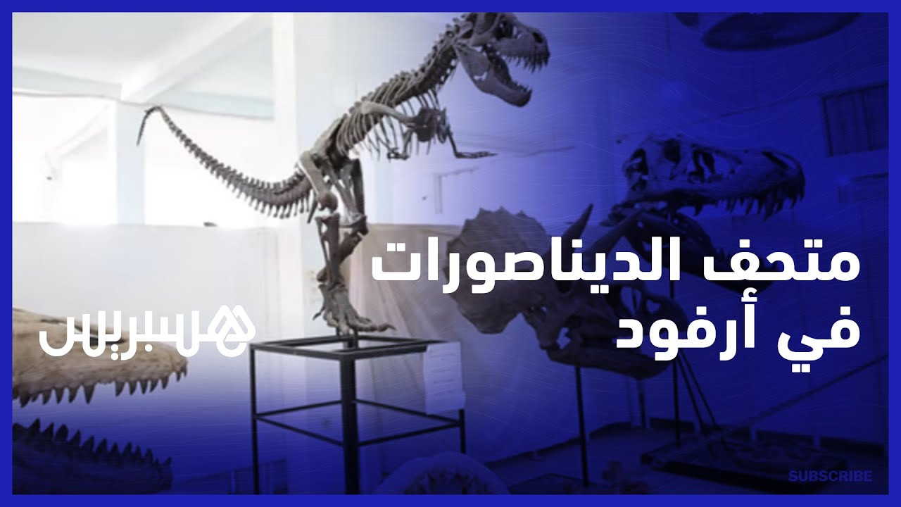 يضم ديناصورات عمرها ملايين السنين تم العثور عليها في المغرب.. متحف الحفريات في أرفود