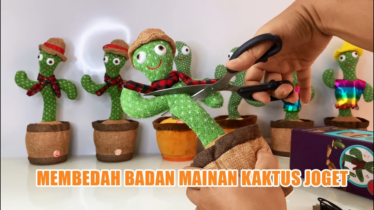 MEMBEDAH BADAN KAKTUS JOGET VIRAL