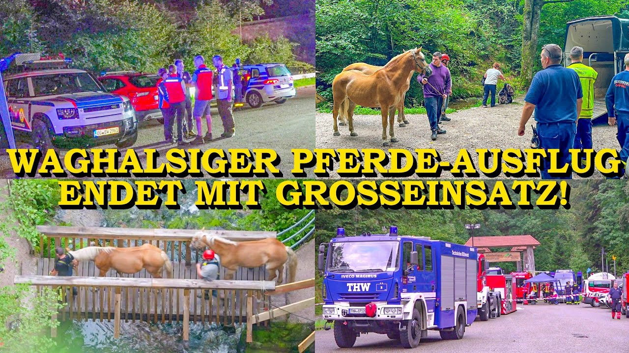[AUSFLUG MIT PFERDEN ENDET IN GROSSEINSATZ] - AUFWENDIGE RETTUNG - | FEUERWEHR | THW | BERGWACHT