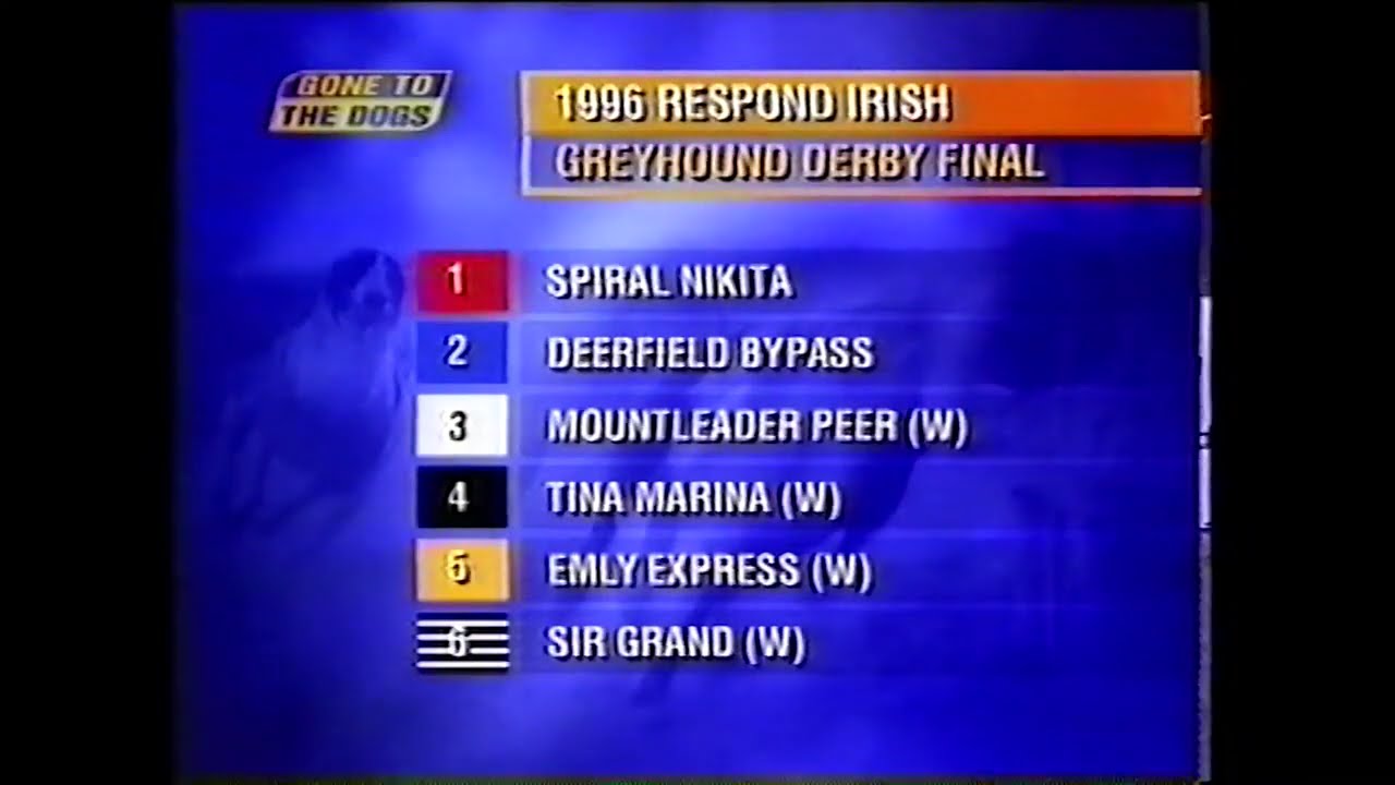 1996 IRISH DERBY FINAL - TINA MARINA