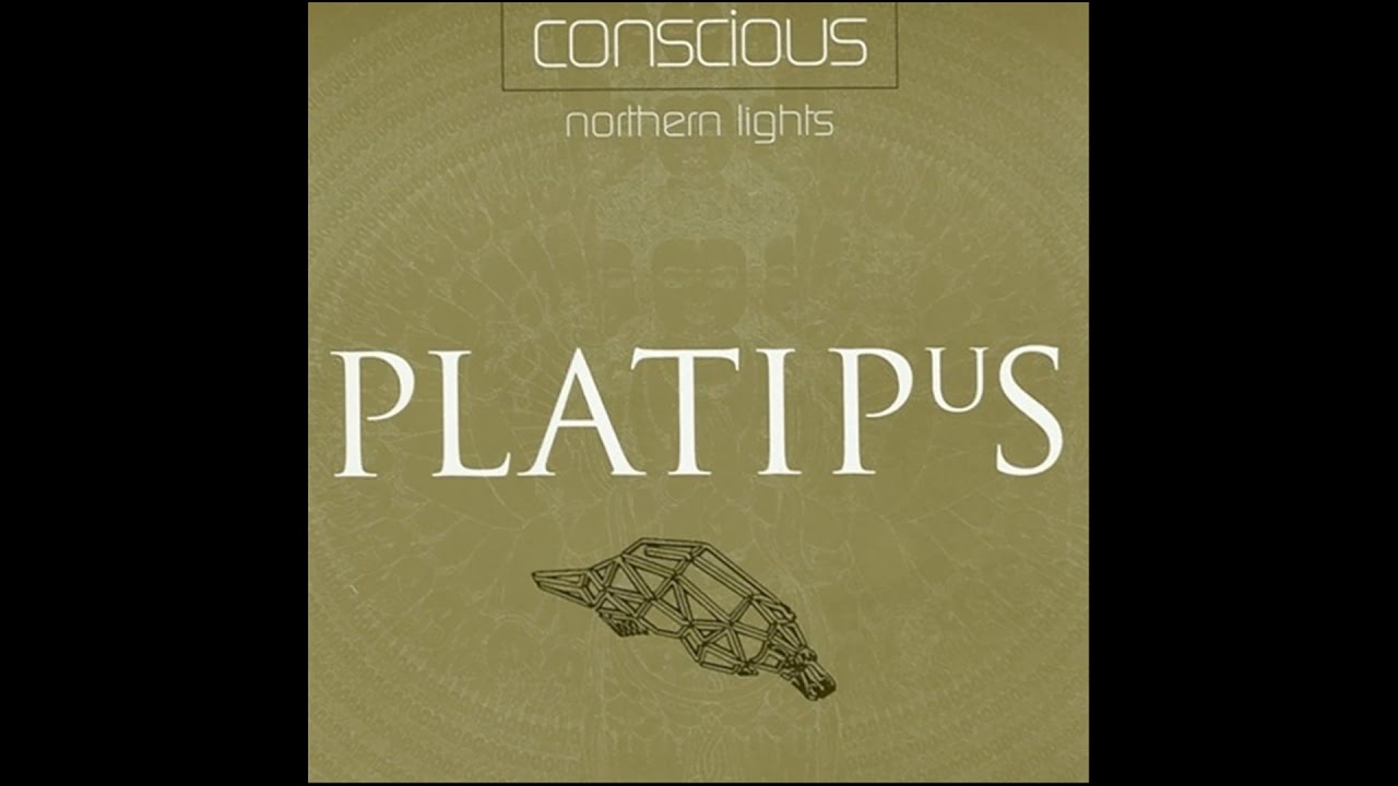 Conscious - Northern Lights