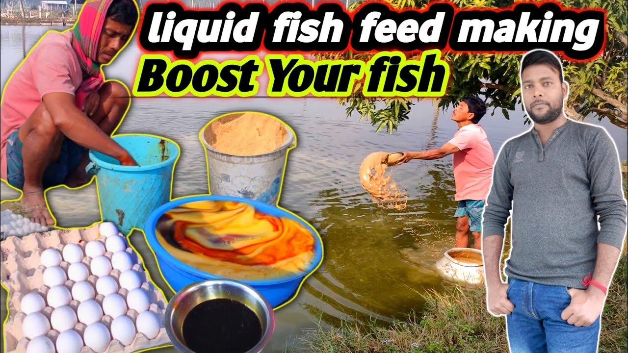 how to make liquid juice fish feed at home | making full process list | Healthy growth of fish #feed