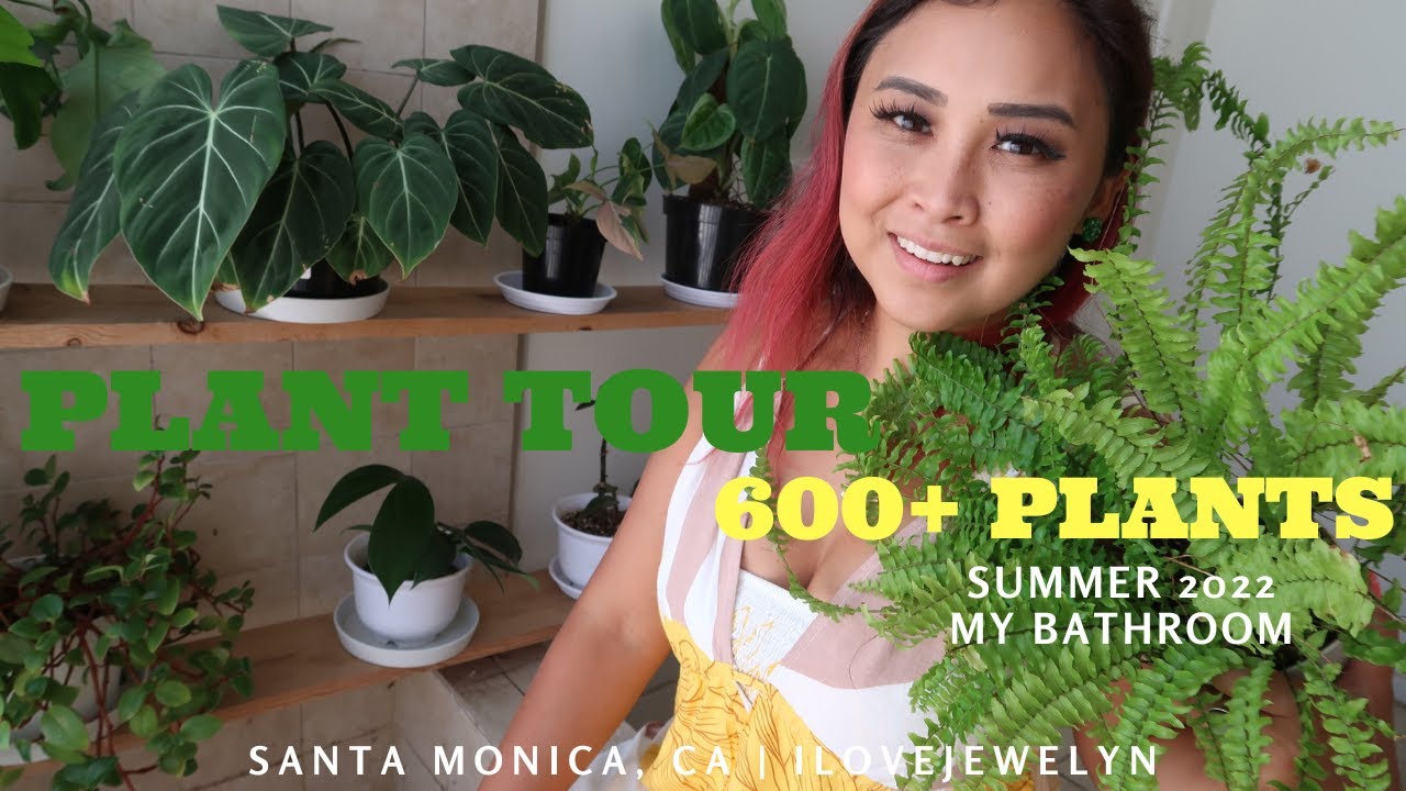 Bathroom Plant tour 2022 | Planting with Jewelyn | ILOVEJEWELYN