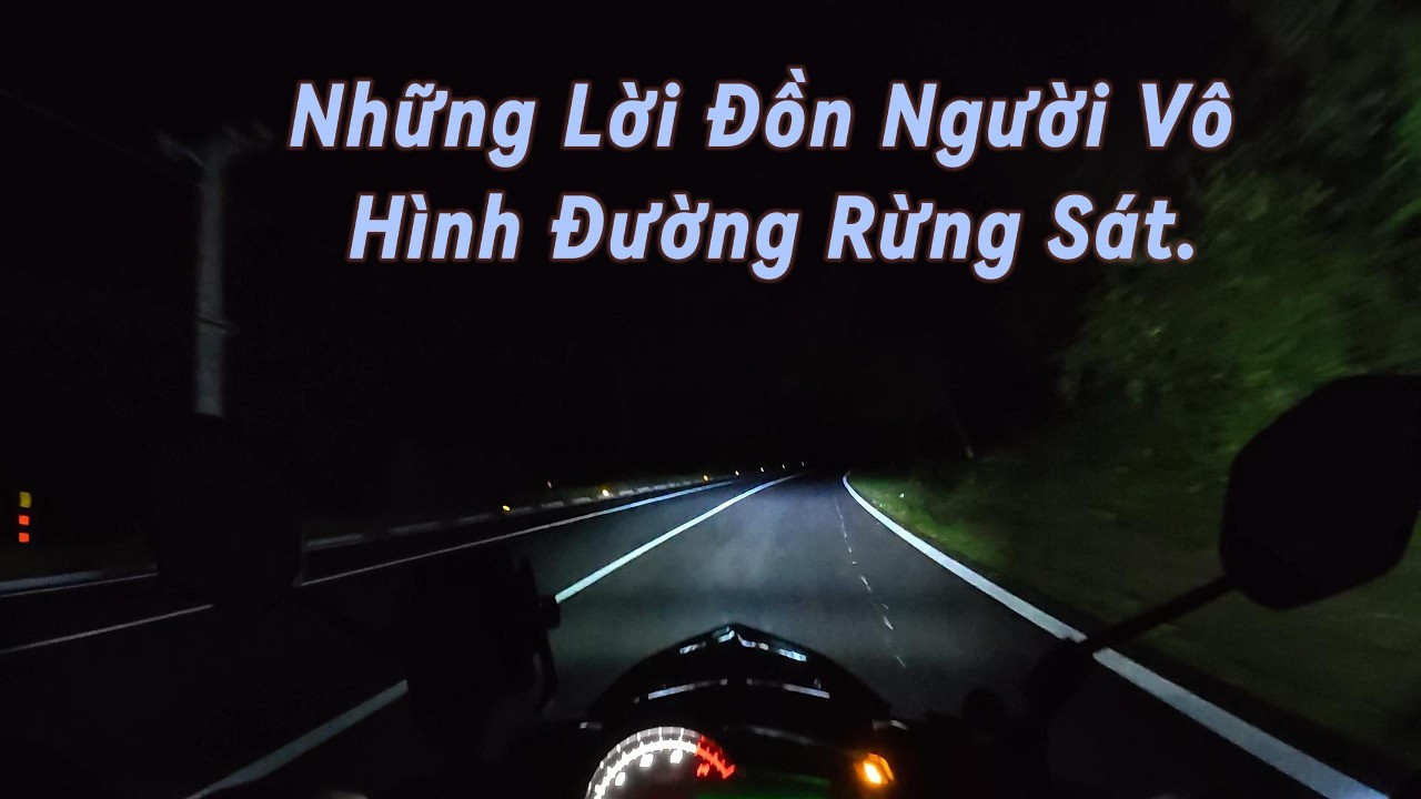 Quay Lại Rừng Sát Về Đêm.