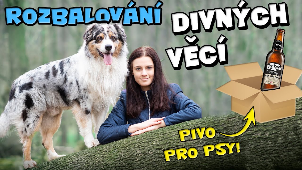 Rozbalov&aacute;n&iacute; DIVN&Yacute;CH VĚC&Iacute; Pro Psy | Unboxing