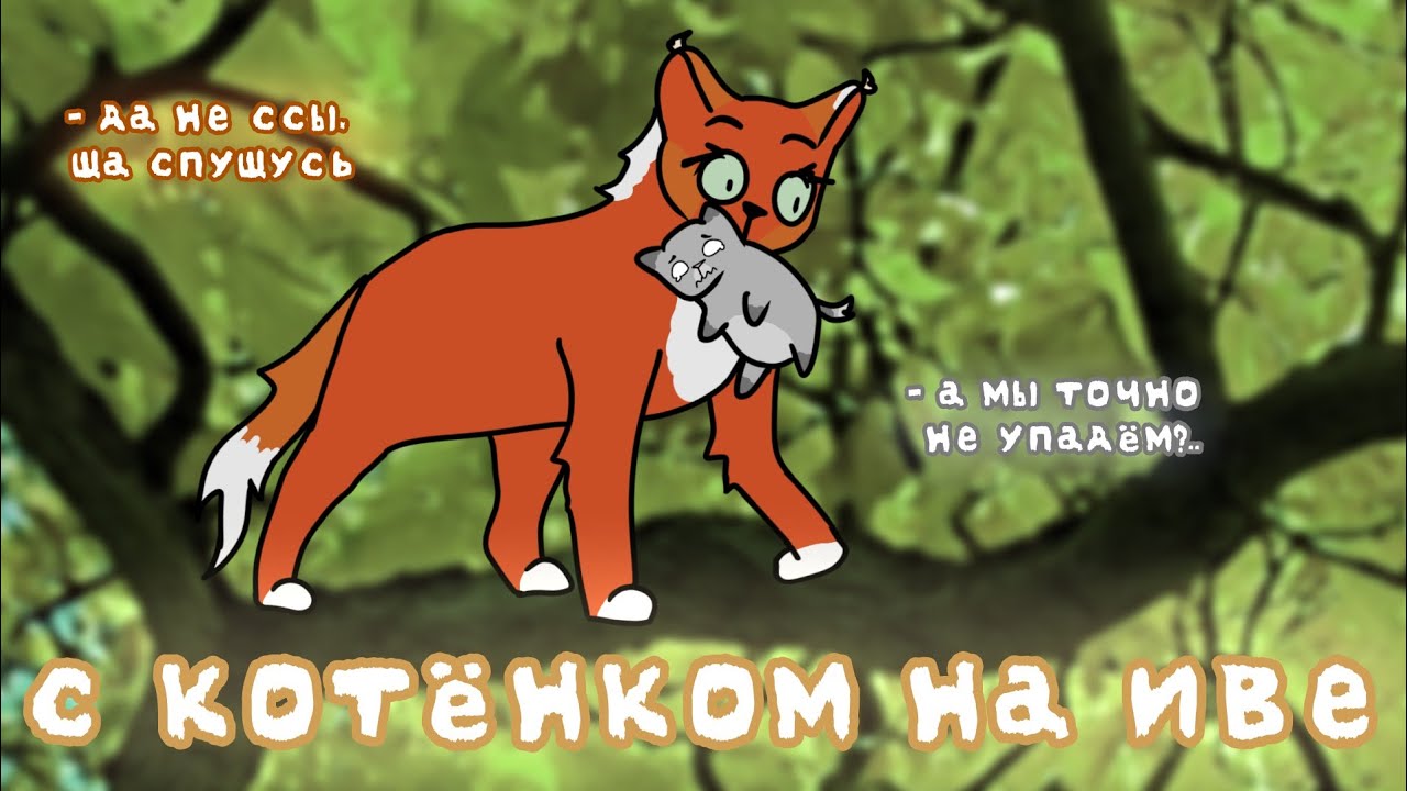 🌳Падаю с ивы со своим храбрецом и просто болтаю🌳