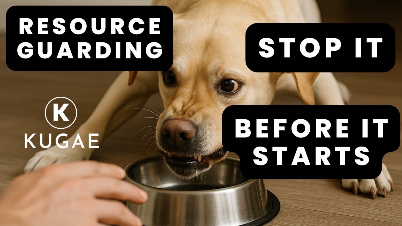 Resource Guarding Explained: What It Is and How to Fix It