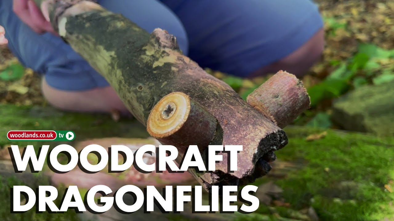 How to Make a Dragonfly Out of Wood