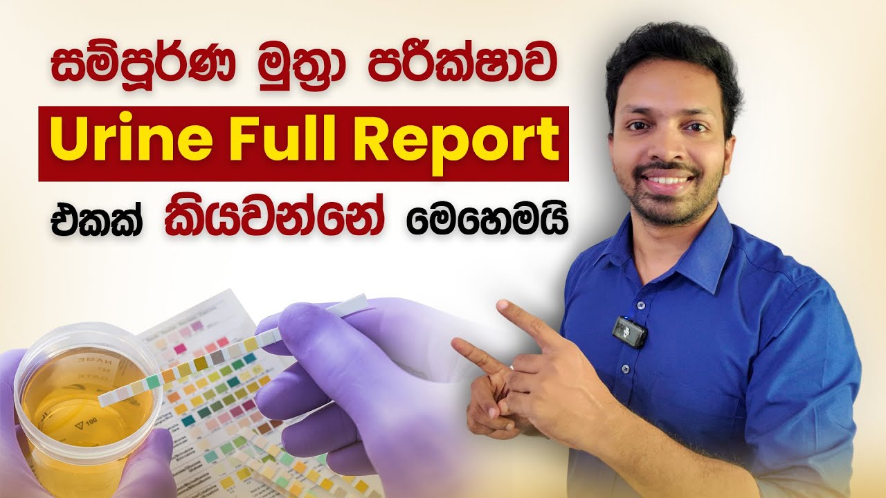 මුත්‍රා පරීක්ෂණ වාර්තාවක් කියවන්නෙ කොහොමද | Urine Full Report | Muthra Parikshanaya | UFR