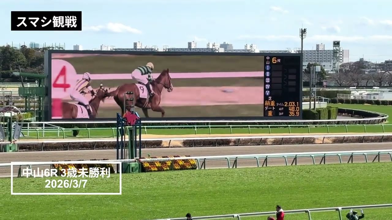 2026年3月7日 | 中山6R 3歳未勝利 | サムシングスイート | クレアノア | エリュグレイス | 現地レース映像 | 中山競馬場 | スマシ観戦 | 芝2,000