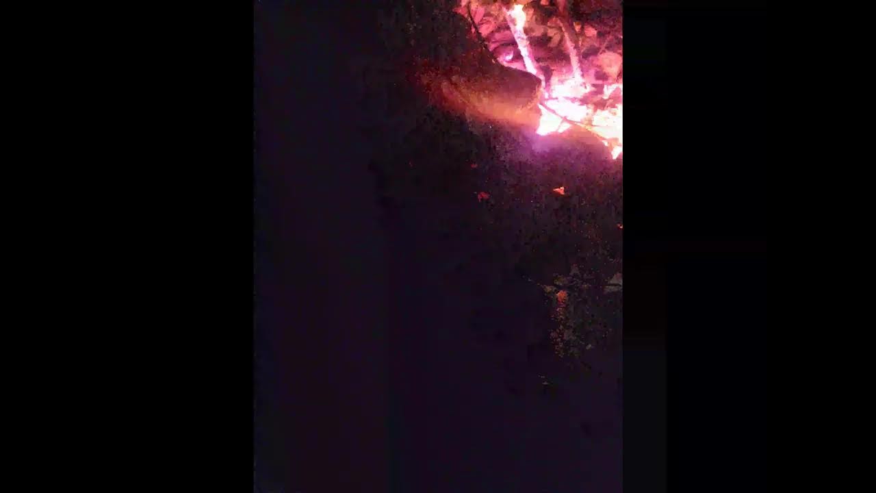 Suuri Iltanuotio live #4