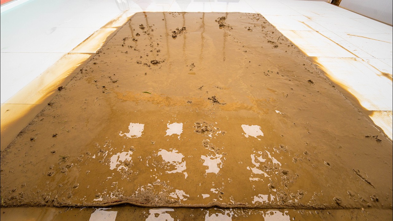 Rescuing a Rug Found Buried on a Riverbank! 😱 Extreme Restoration ASMR