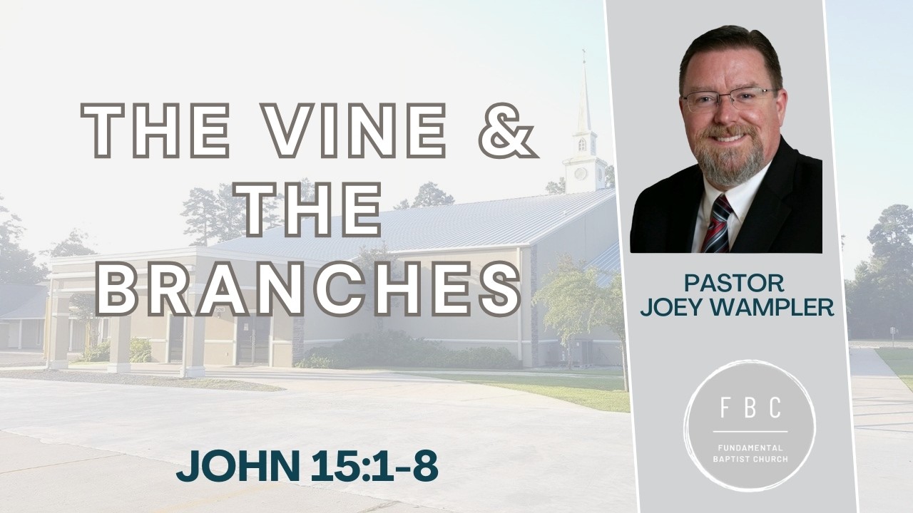The Vine & The Branches (John 15:1-8)