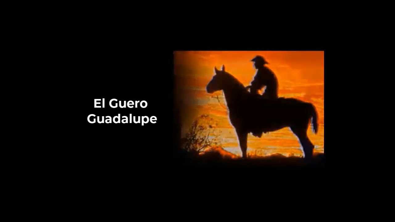 El Güero Guadalupe #09