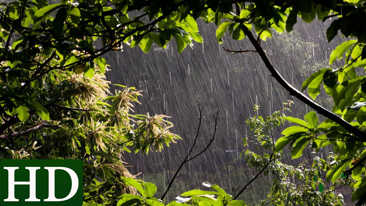 Pluie - Bruit de la Pluie et Nature - Relaxation, Dormir