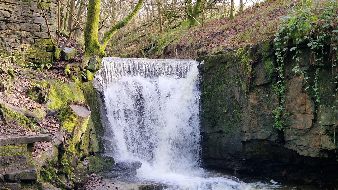 Edenfield Waterfall