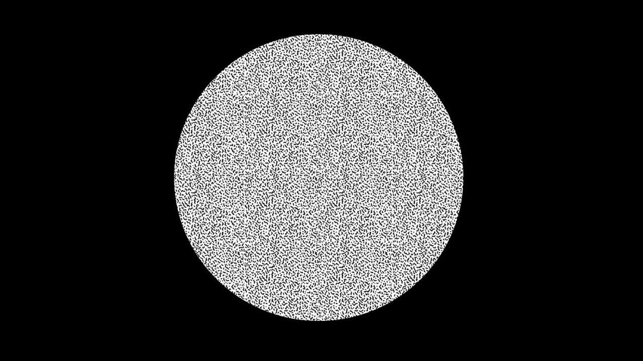 White Car - Now We Continue (Heinrich Mueller Continuum)