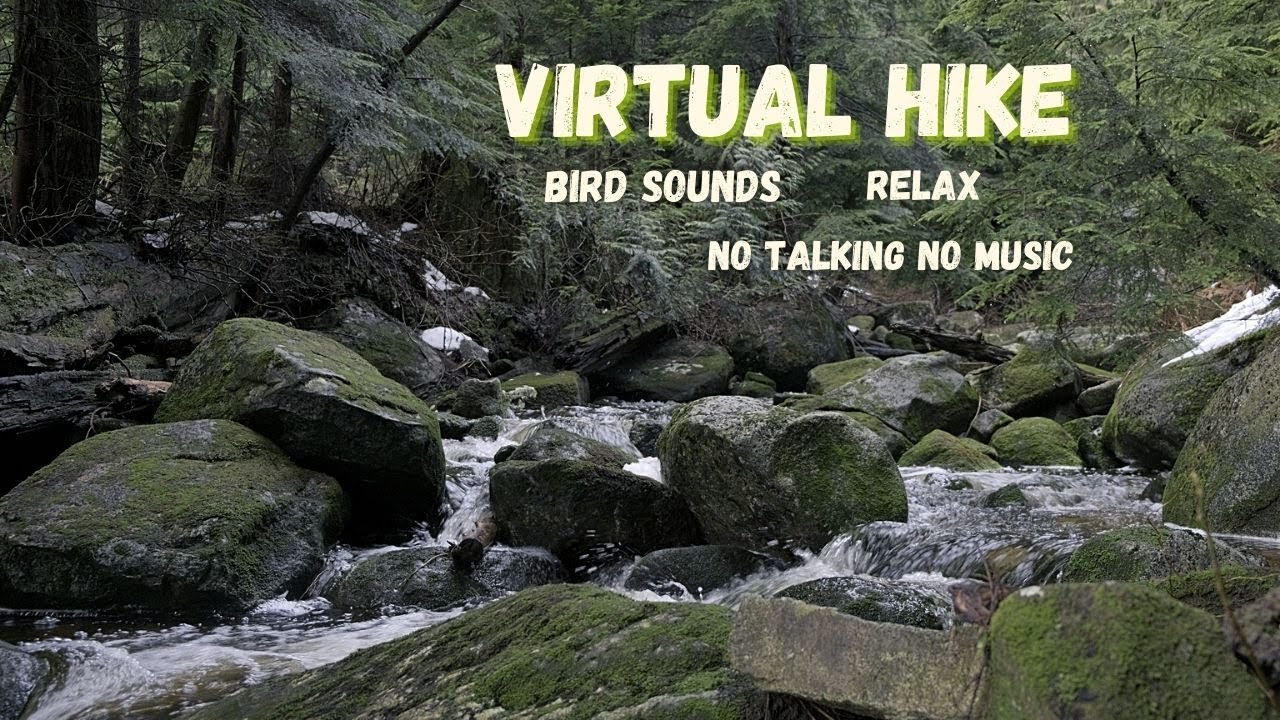 4K Relaxing Virtual Hike To Cypress Viewpoint Fade to Black