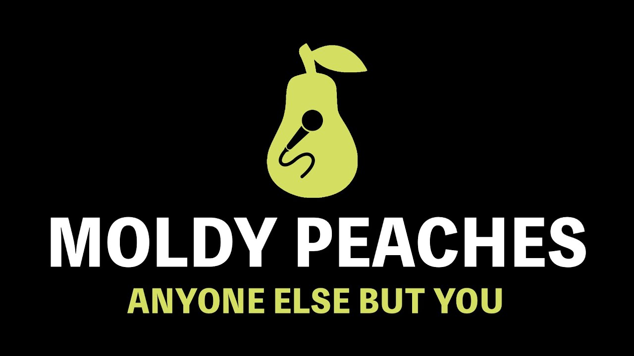 Moldy Peaches - Anyone Else But You (Karaoke)