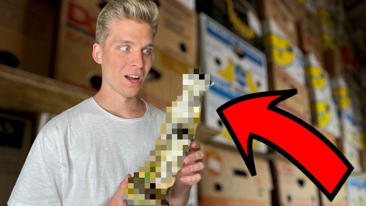 NAŠEL JSEM ZVÍŘE ?! MYSTERY BOXY