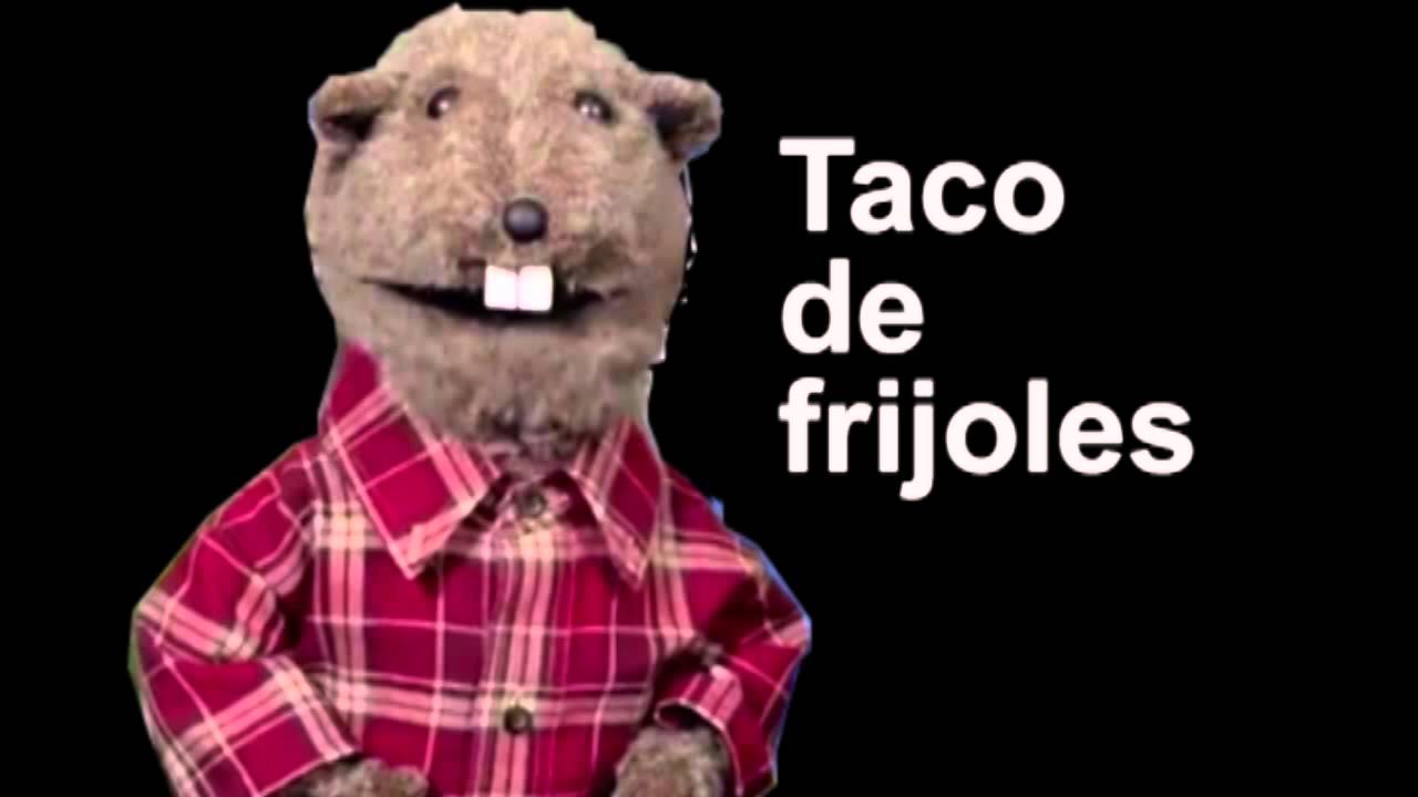 Como se dice taco de frijoles | la ardillita