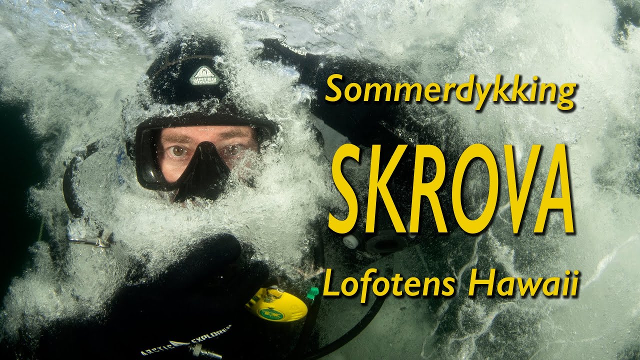 Sommerdykking - Skrova - Lofotens Hawaii
