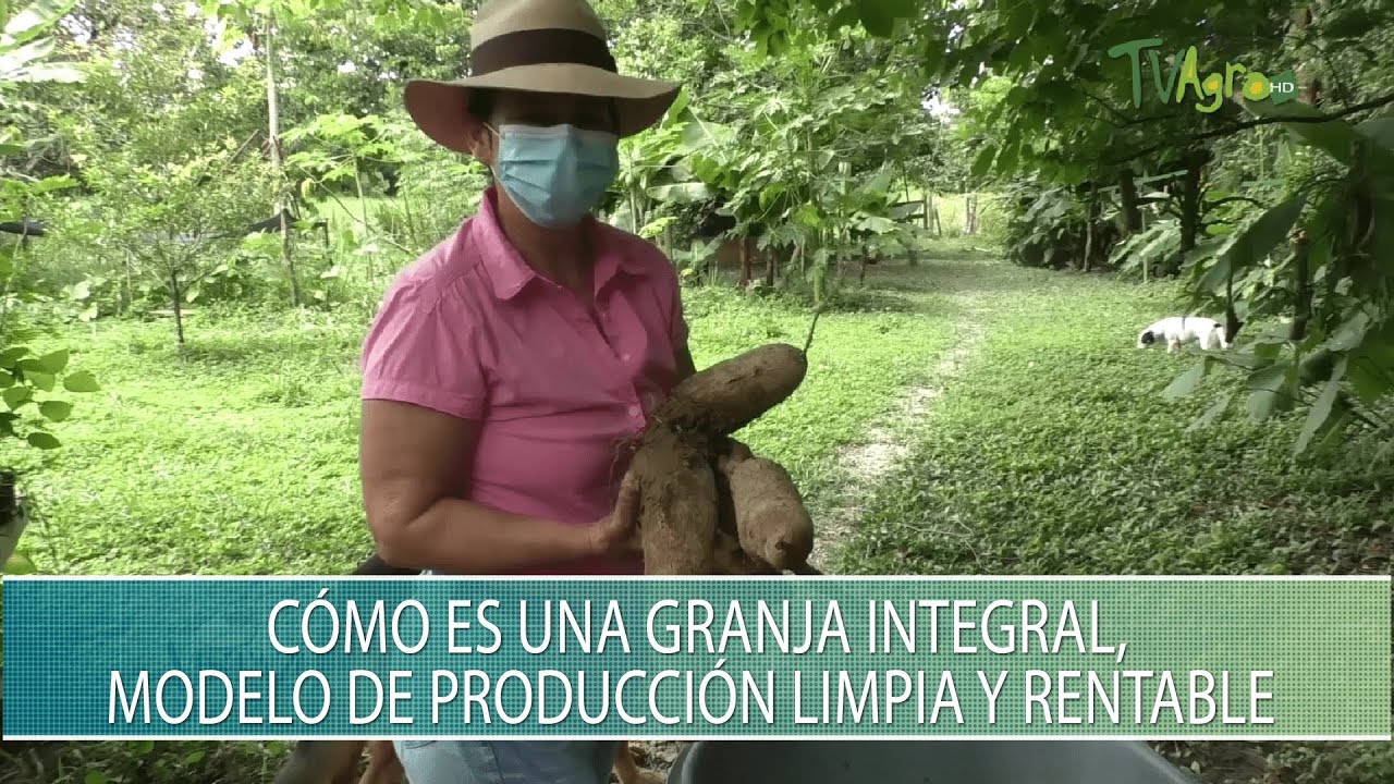 Como es una granja integral, modelo de produccion limpia y rentable - TvAgro por Juan Gonzalo Angel