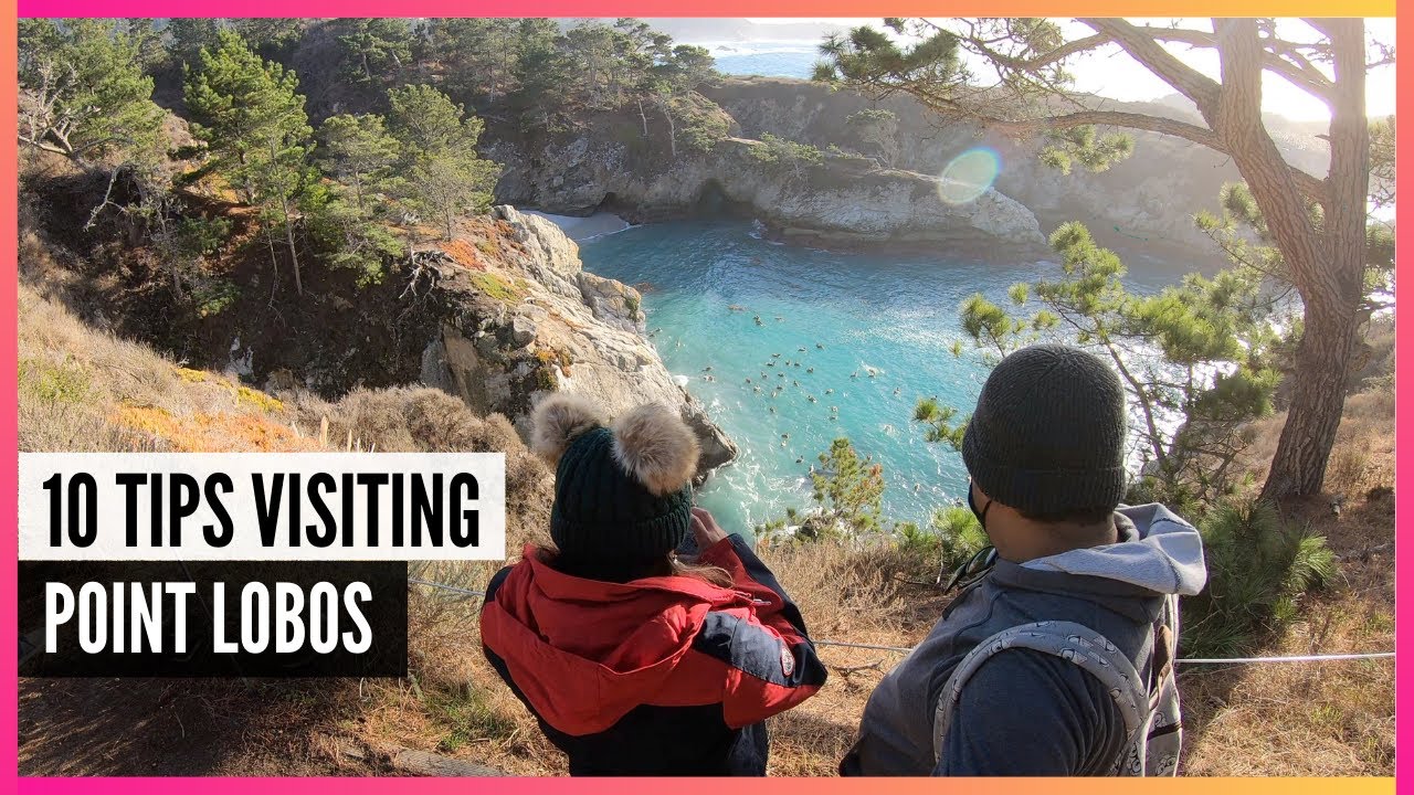10 Tips Visiting Point Lobos State Natural Reserve - Hiking Adventure - Tell Your Mom And Dad