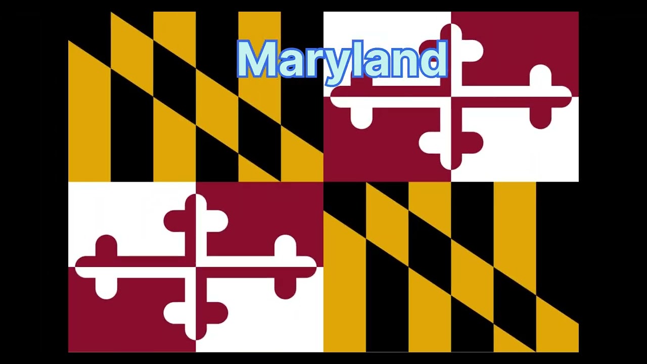 The state flags of all US states including overseas territories 