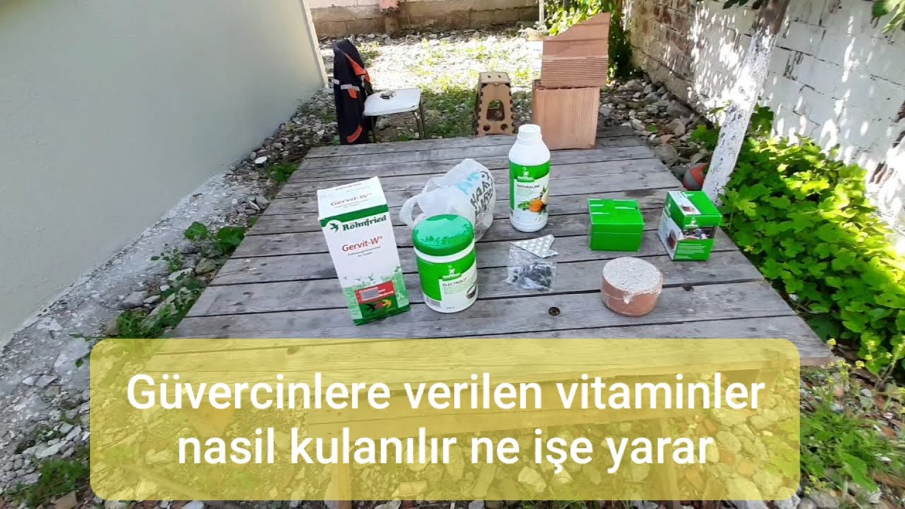 GÜVERCİNLERİMİZE NELER ALDIK VE NASIL NEKADAR KULLANICAZ ÇOK PARA HARCADIK..