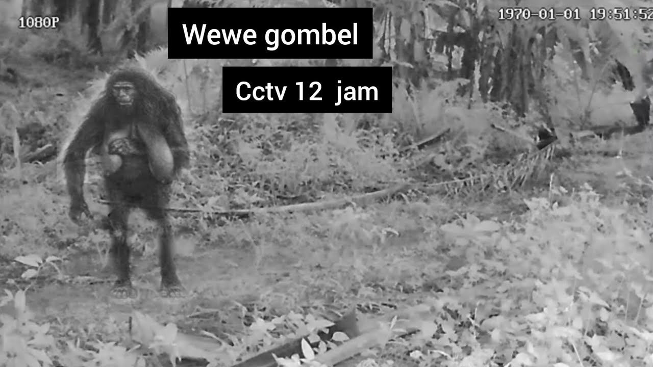 Eksperimen cctv horor ada wewe gombel tinggal di semak belukar || cctv horor