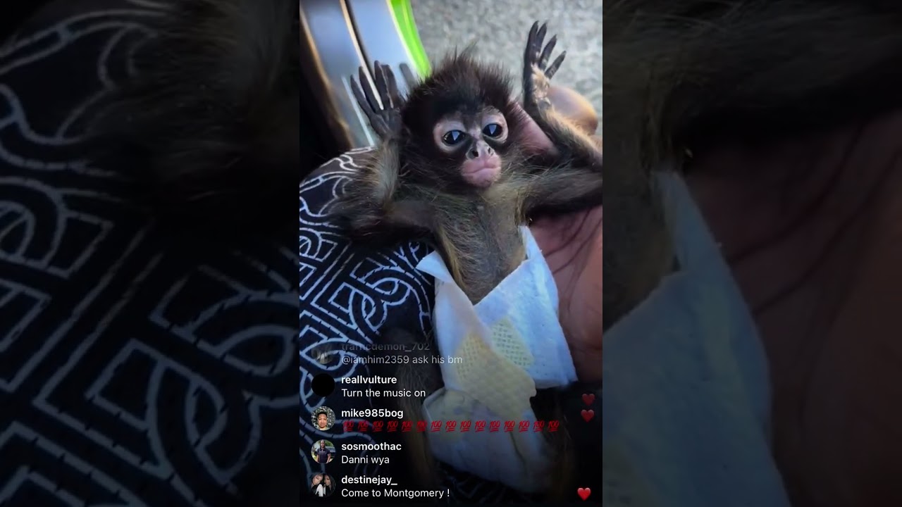 Corey SSG shows off his pet monkey