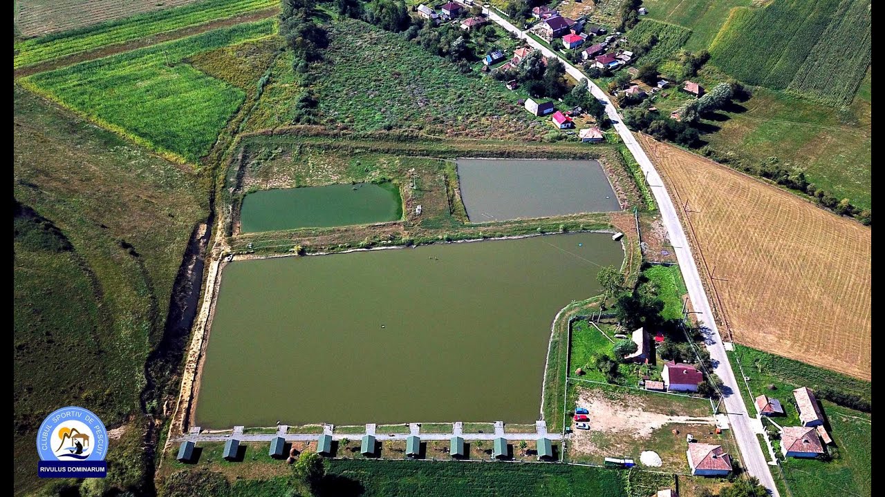 Pescuit pe Lacul Caprioara din Cluj, Boilies vs. Method feeder - Partea 1