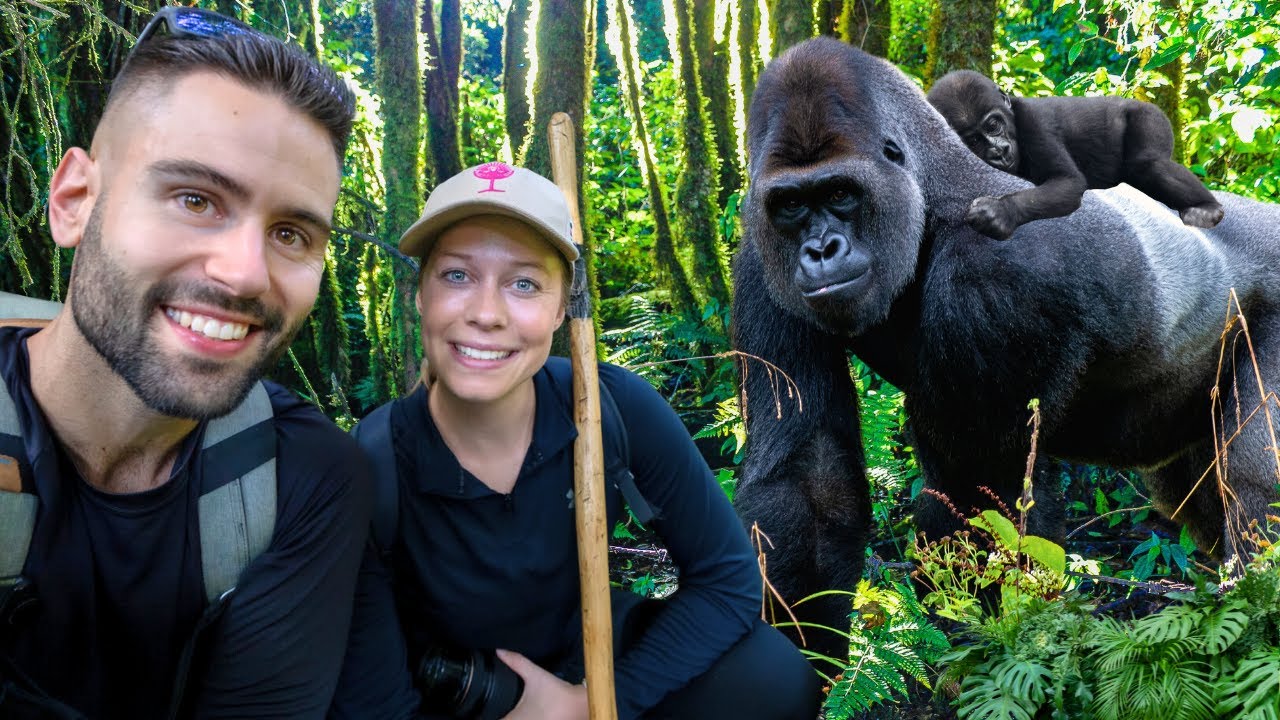 Incredible Encounter with Mountain Gorillas in Uganda