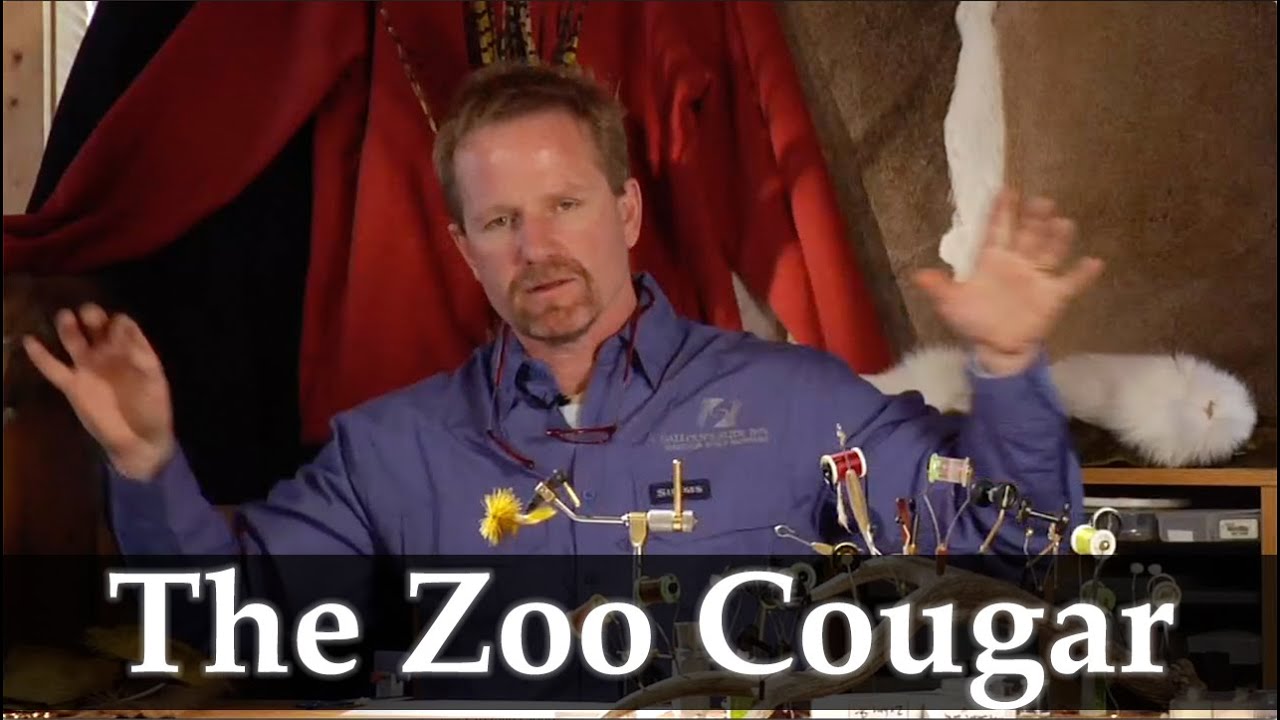 Келли Гэллоуп: Видеоурок по выкройке стримера Zoo Cougar